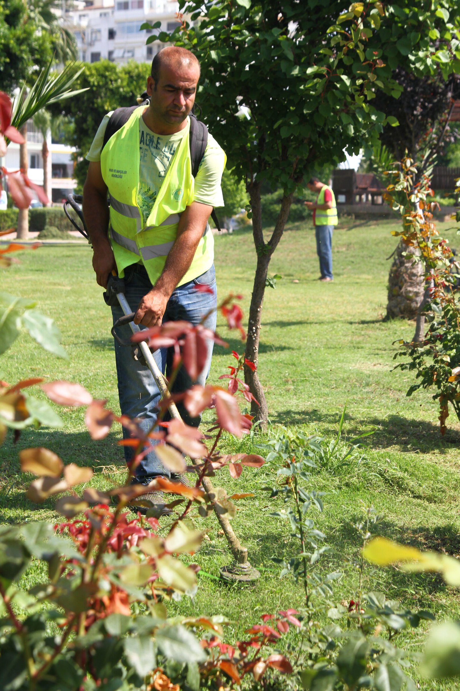 Park Bakım Hizmeti